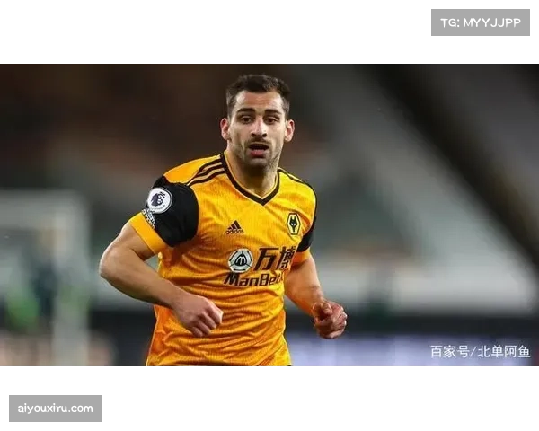 富勒姆安德森威尔逊疑似伤病农场主锋线选择受限